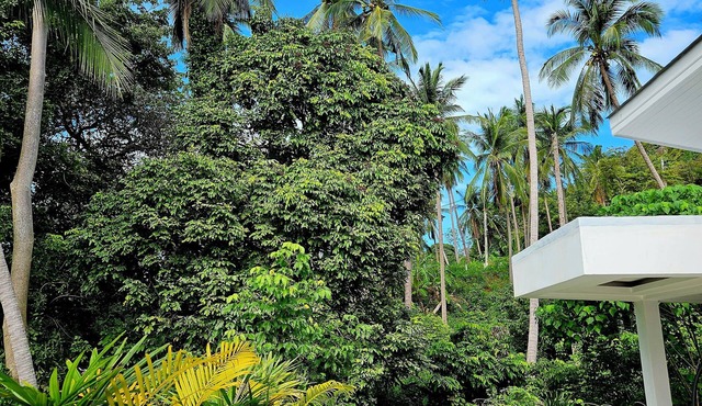 Villa Blue Vanilla - 2BR Modern Villa/private Pool in amazing Ko Samui in Ko Samui District