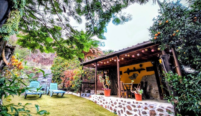 Villa Tamadaba Rural Home + Fast WiFi, Near Ocean, Pet Friendly