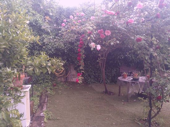 Rural Apartments La Vera for 2 people