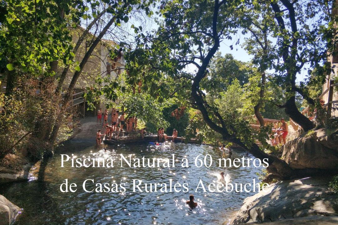 Casas del Monte House | Casa Rural Acebuche - Valle del Ambroz