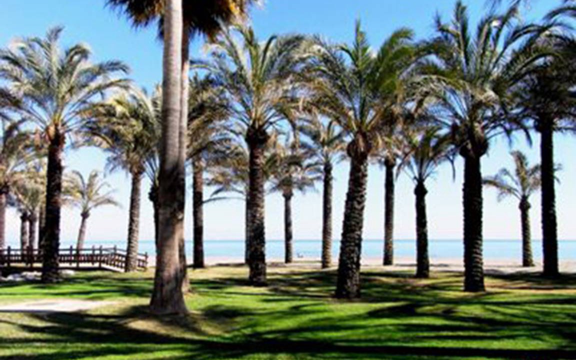 Photo of Others in Torremolinos