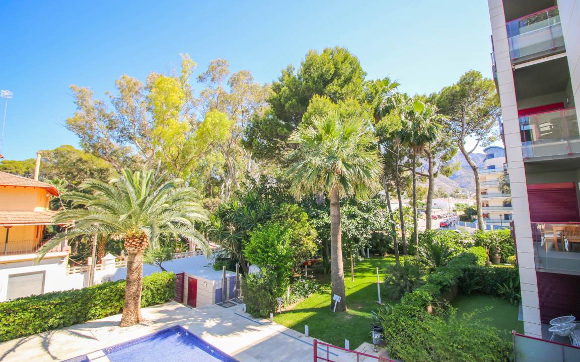 Photo of Others in Denia