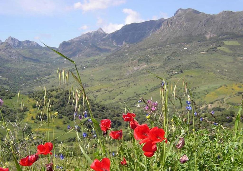Photo of Outdoor in Grazalema