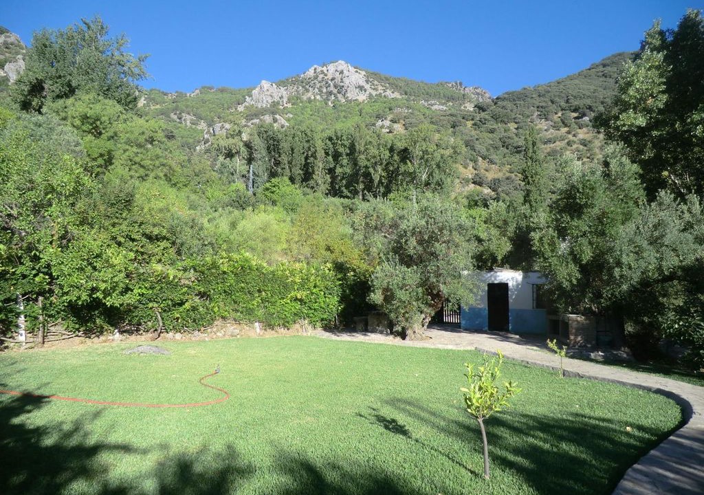 Photo of Others in Grazalema