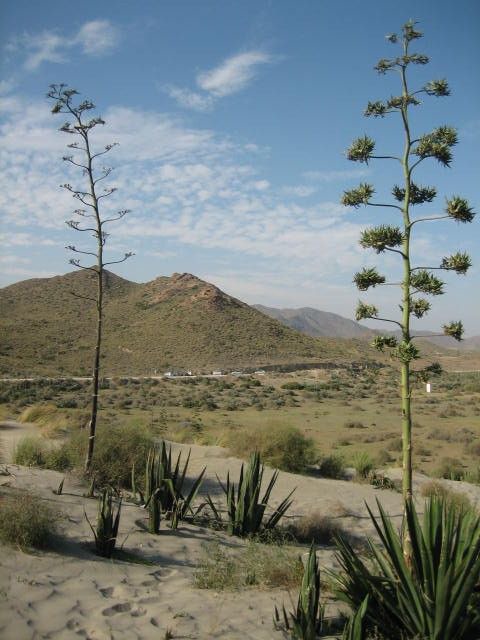 Photo of Outdoor in La Isleta del Moro