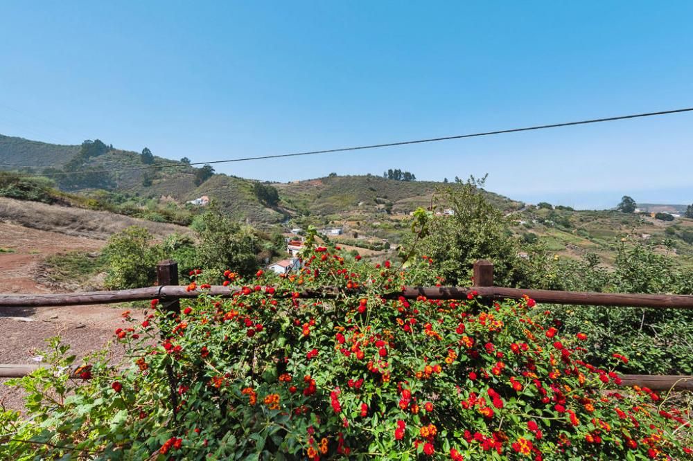 Photo of Outdoor in Barranco del Pinar