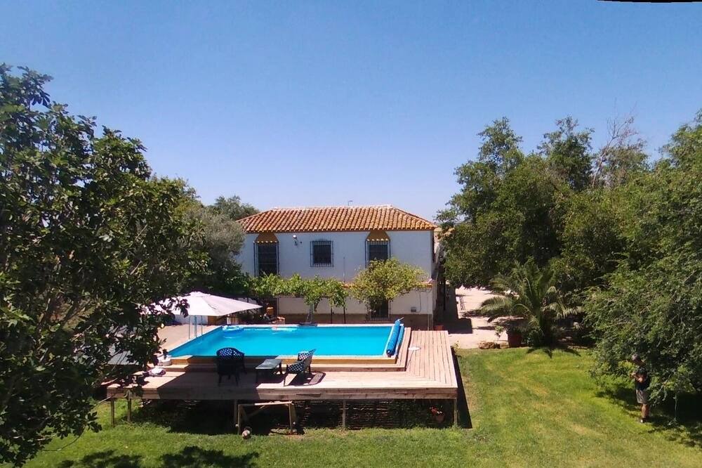 Photo of Outdoor in Alcala de Guadaira
