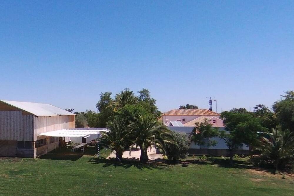 Photo of Others in Alcala de Guadaira