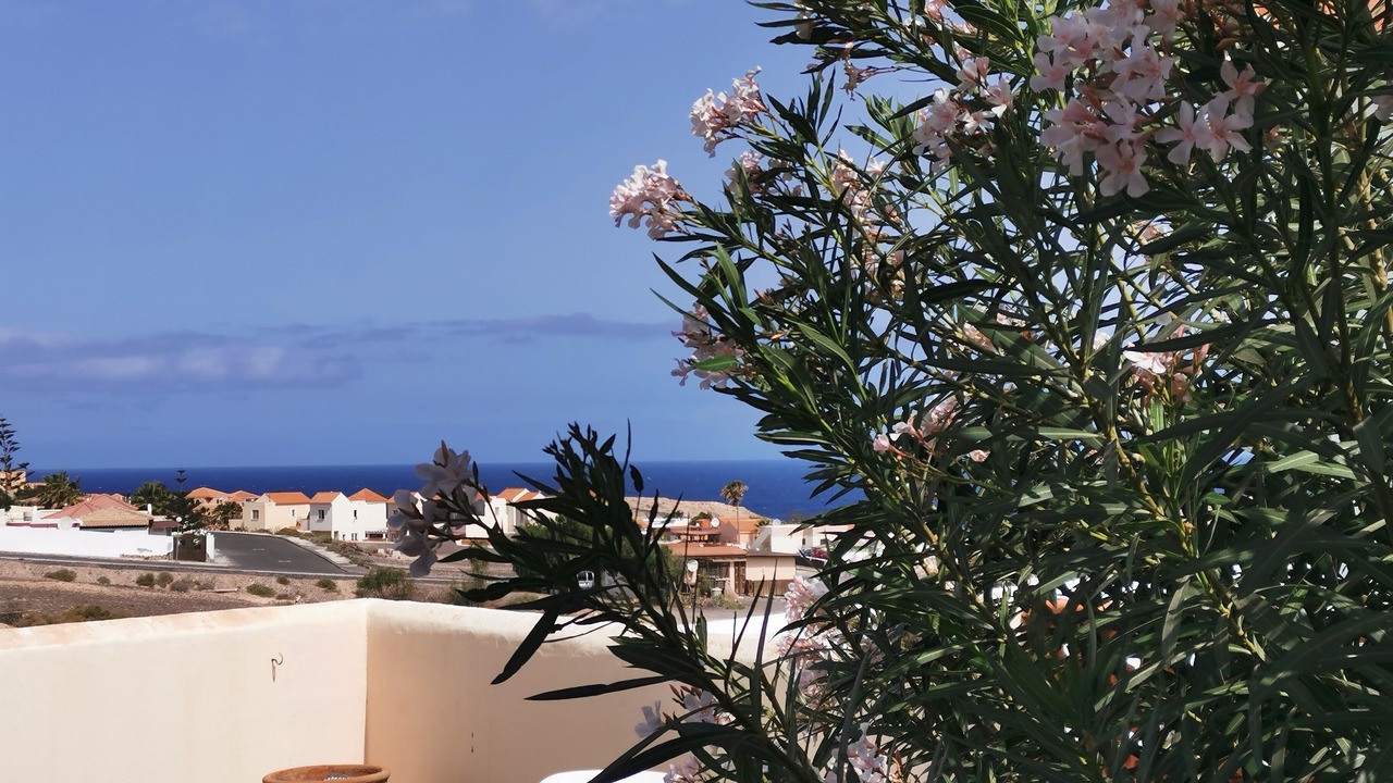 Photo of Outdoor in La Pared