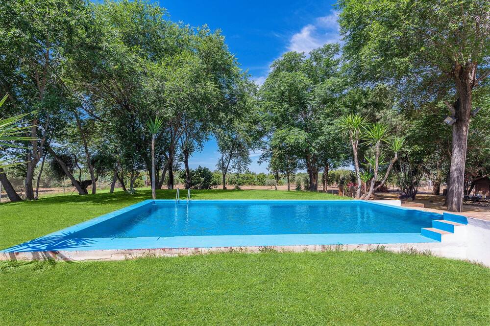 Photo of Outdoor in Marchena