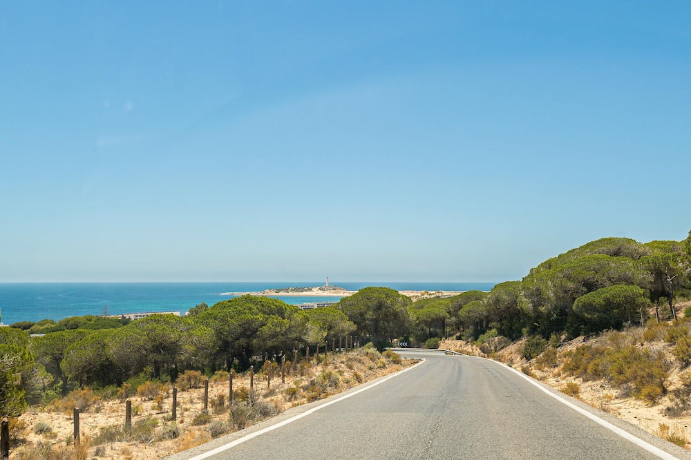 Photo of Others in Brena y Marismas de Barbate Natural Park