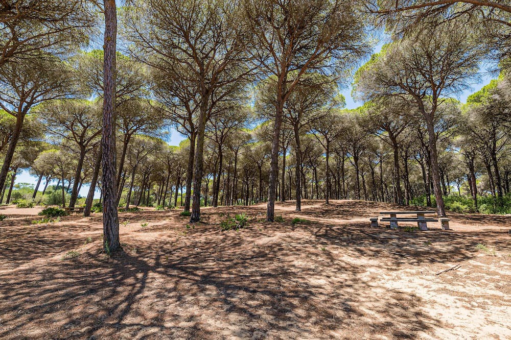 Photo of Others in Brena y Marismas de Barbate Natural Park