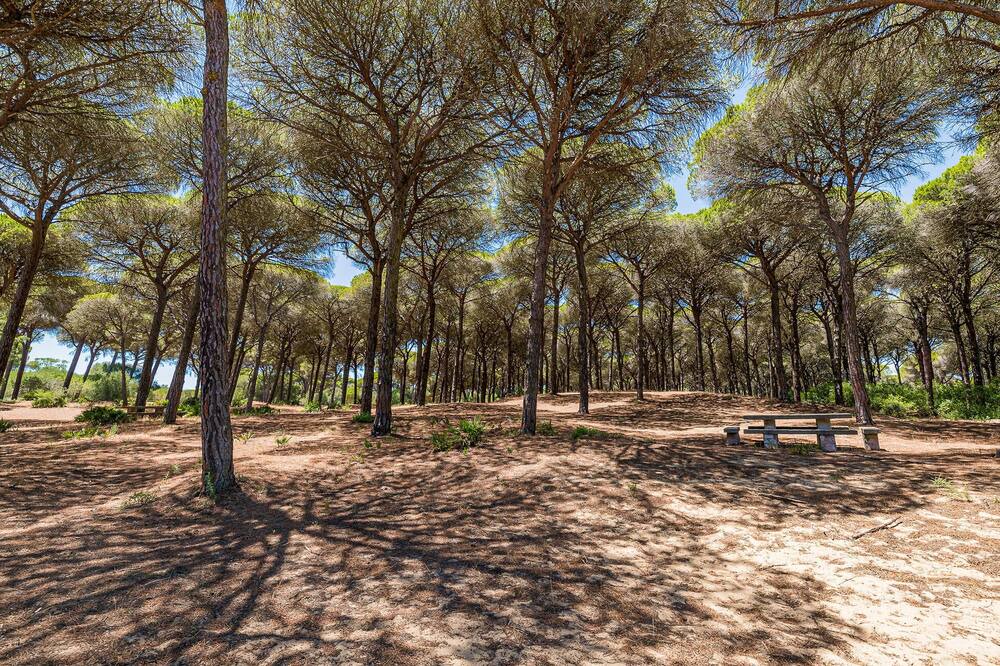 Photo of Others in Brena y Marismas de Barbate Natural Park