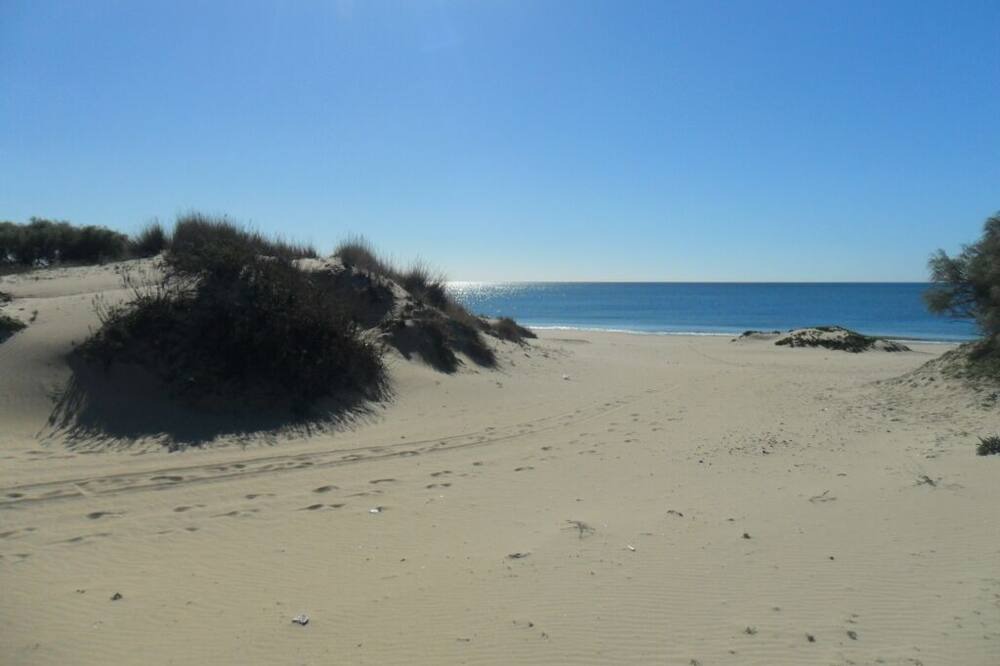 Photo of Others in Nuevo Portil