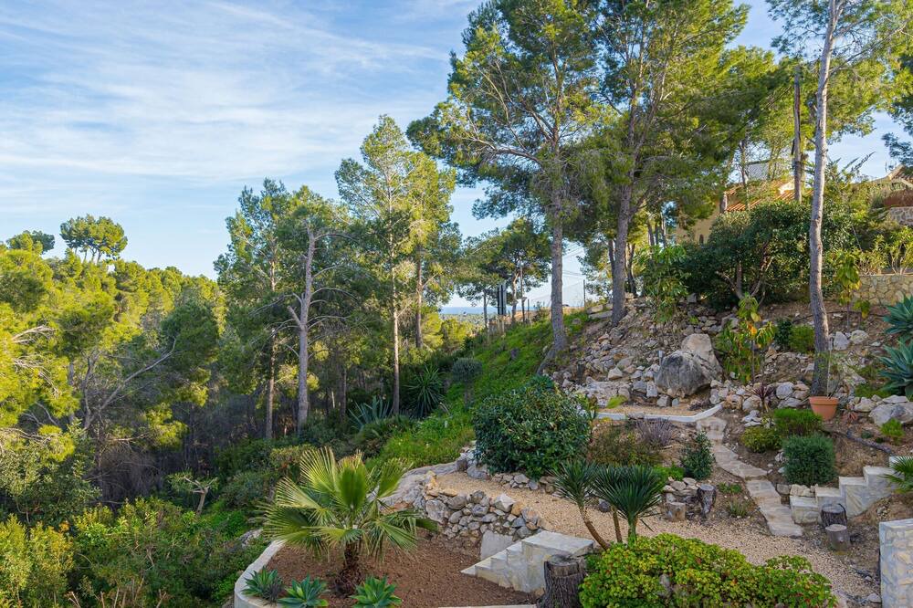 Photo of Outdoor in Bernia