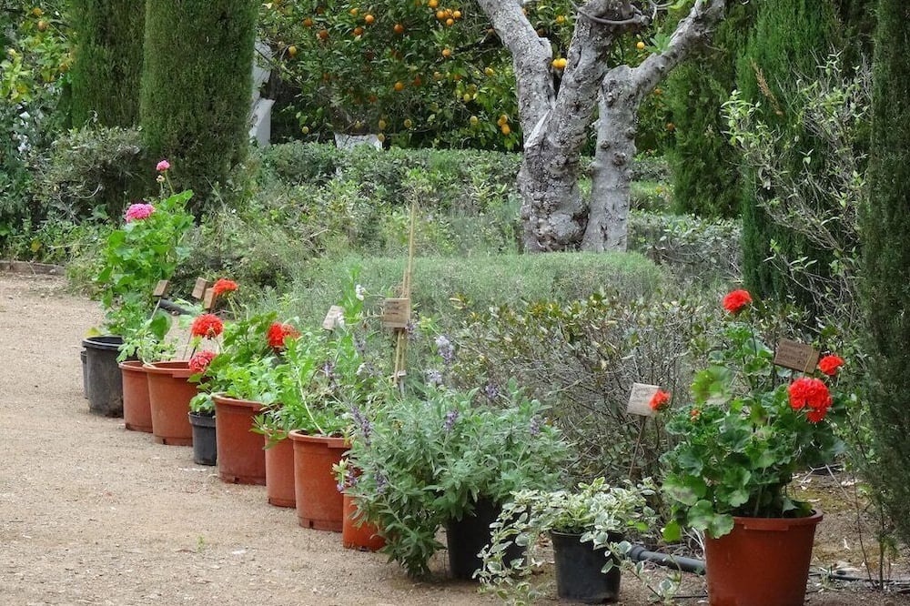 Photo of Outdoor in Hornachuelos