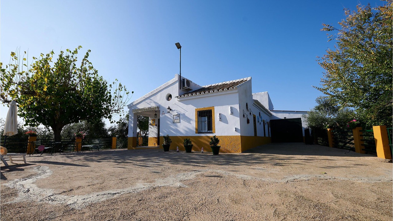 Photo of Outdoor in Penaflor
