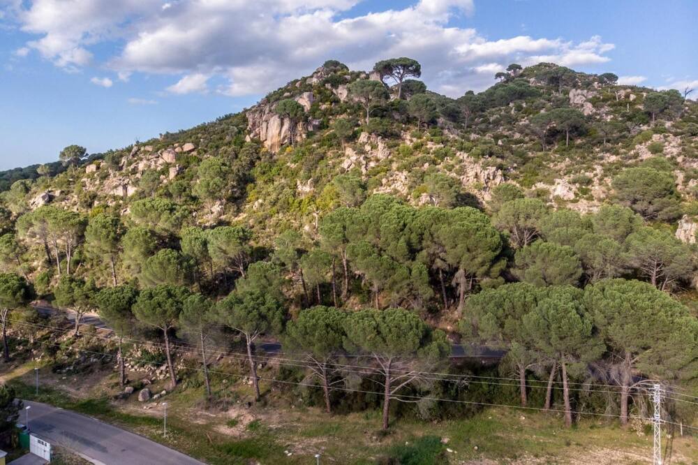 Photo of Others in Las Jaras