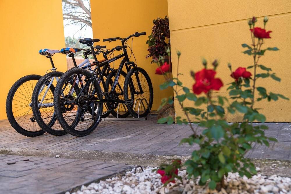 Photo of Outdoor in Las Jaras