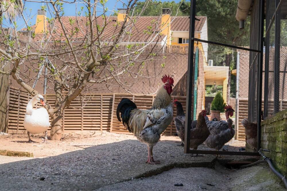 Photo of Others in Las Jaras