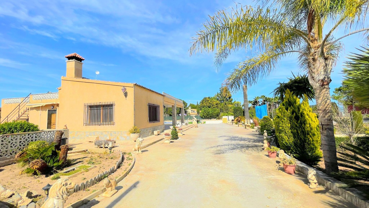 Photo of Outdoor in Elche