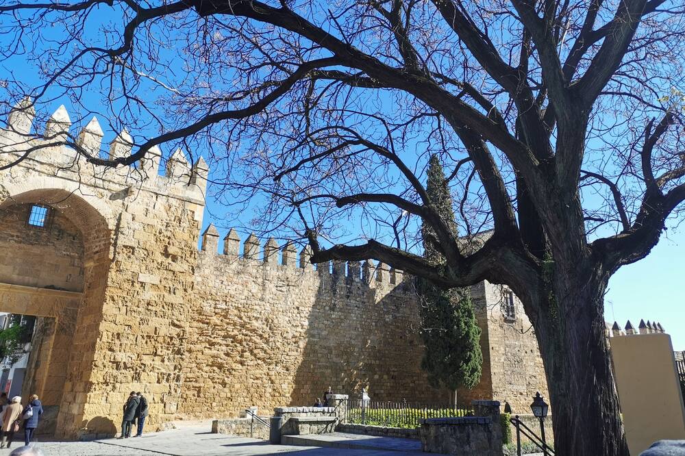 Photo of Others in Jewish Quarter