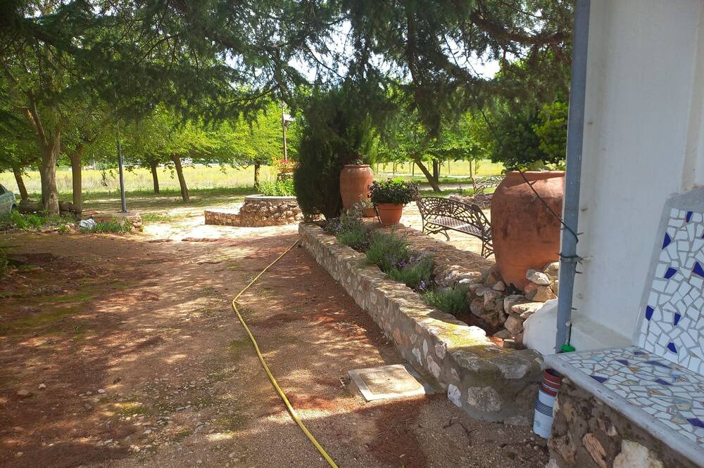 Photo of Outdoor in Bocairente