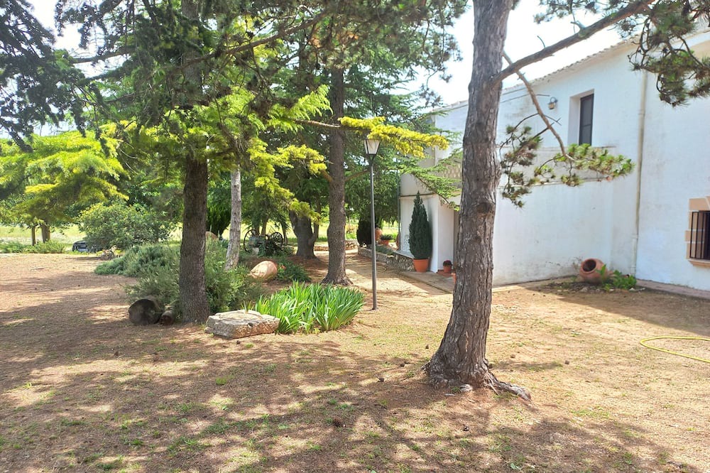 Photo of Outdoor in Bocairente