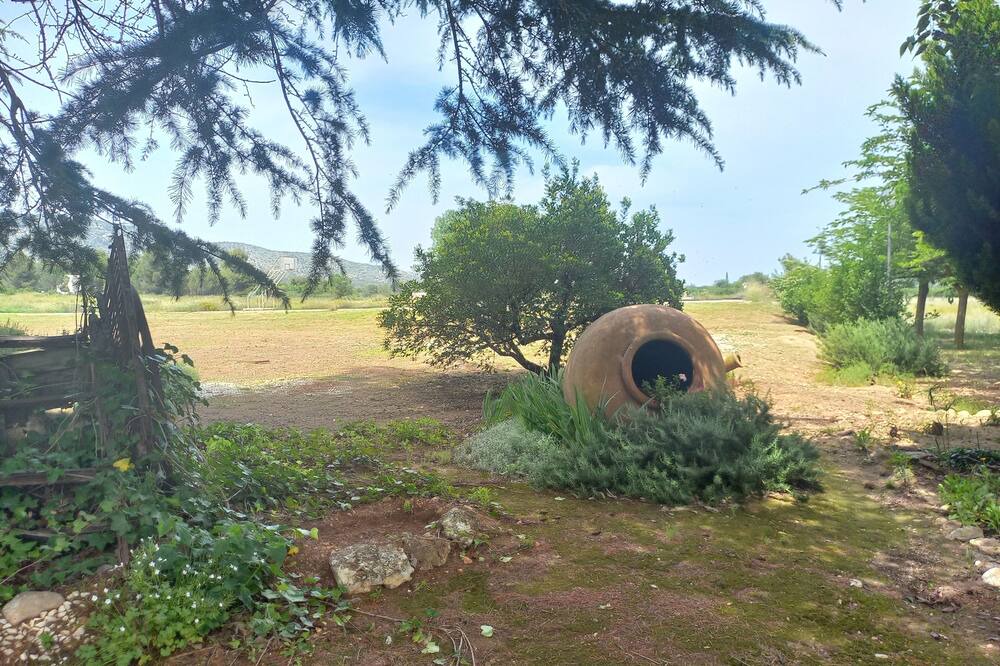 Photo of Outdoor in Bocairente