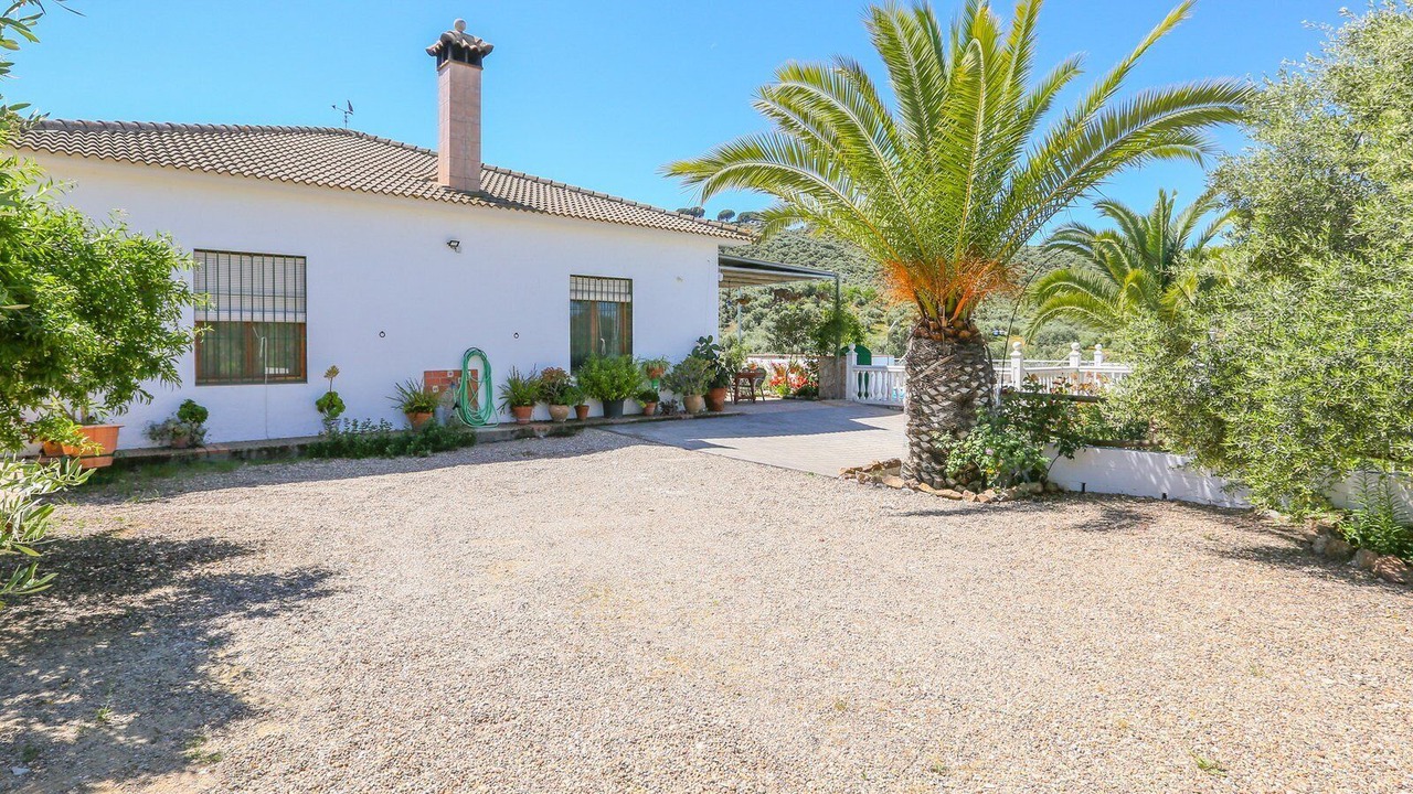 Photo of Outdoor in La Puebla de los Infantes