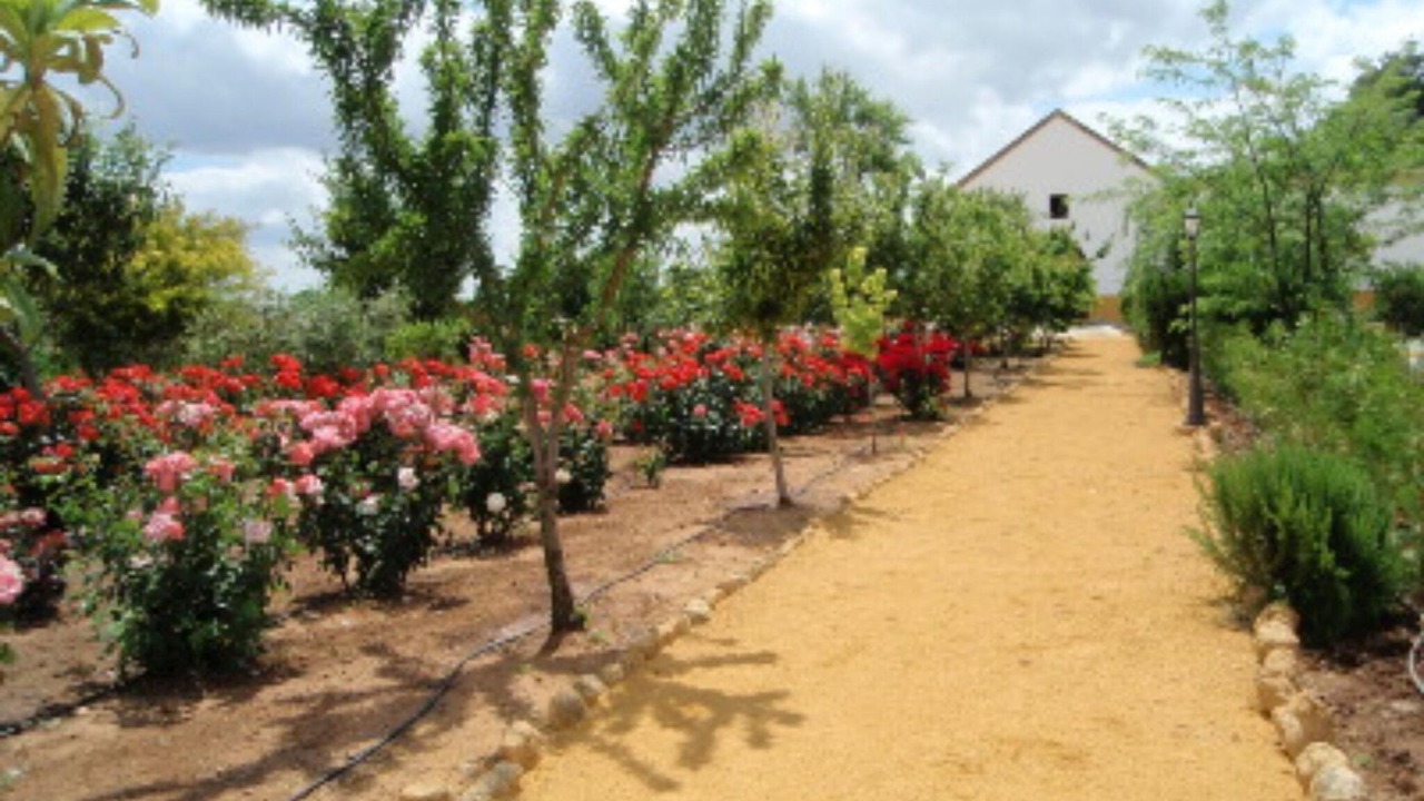 Photo of Outdoor in Carmona