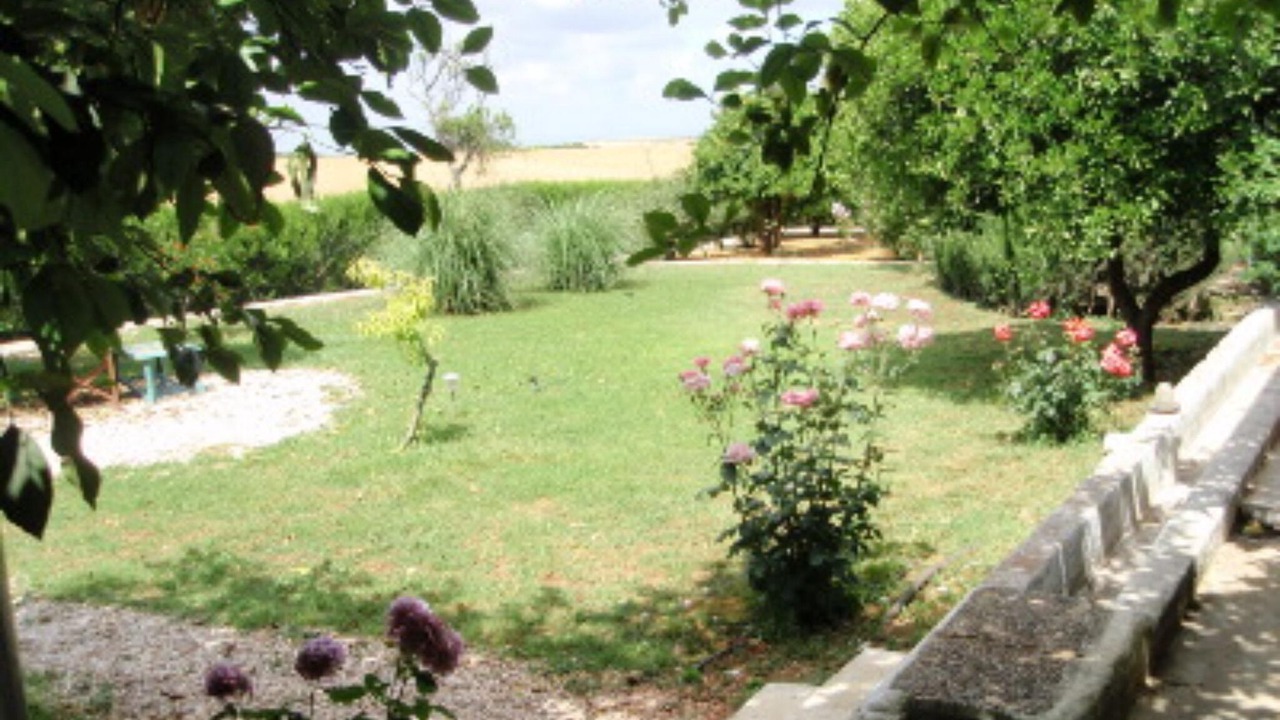 Photo of Outdoor in Carmona