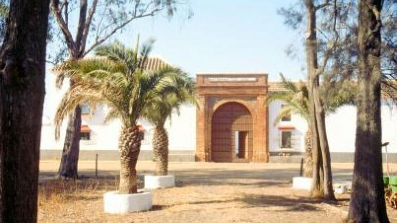 Photo of Outdoor in Carmona