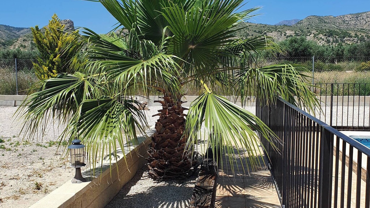 Photo of Outdoor in Fortuna