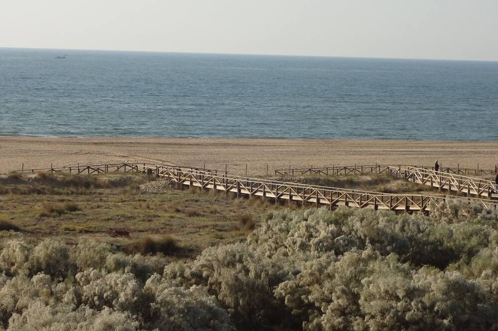 Photo of Others in Punta del Moral