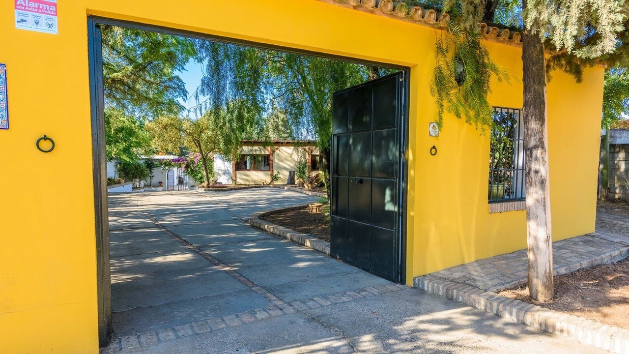 Photo of Outdoor in Olivares