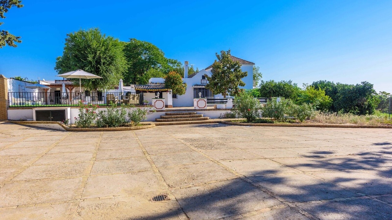 Photo of Outdoor in Olivares