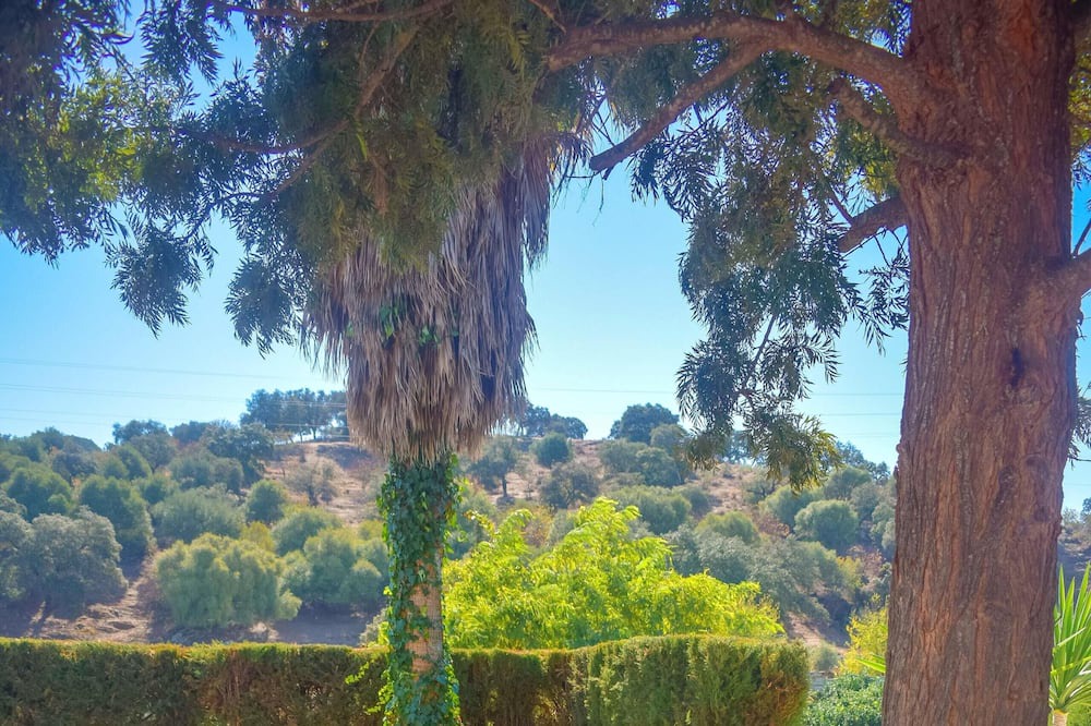 Photo of Outdoor in Penaflor