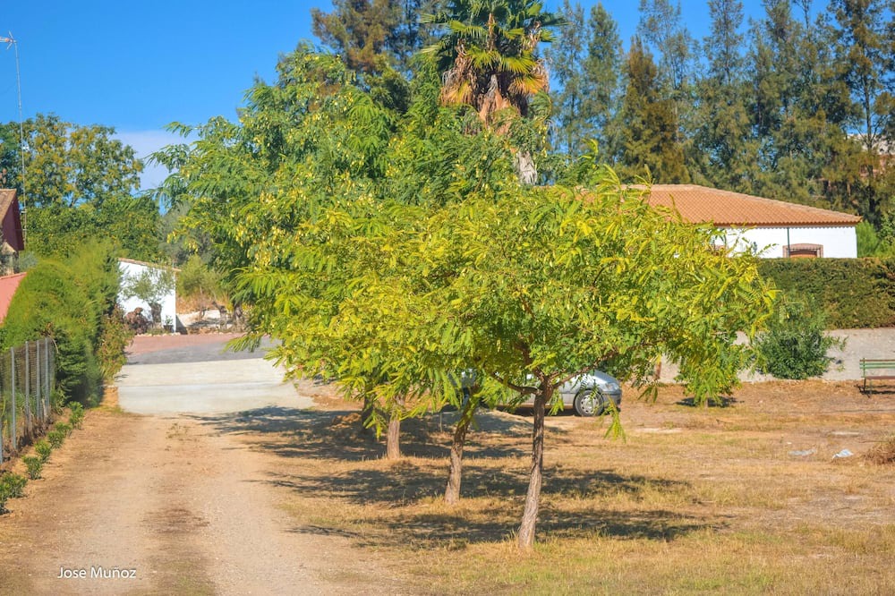 Photo of Others in Penaflor