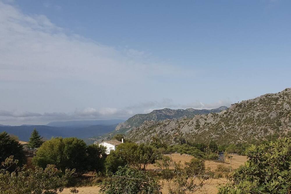 Photo of Others in Benaocaz
