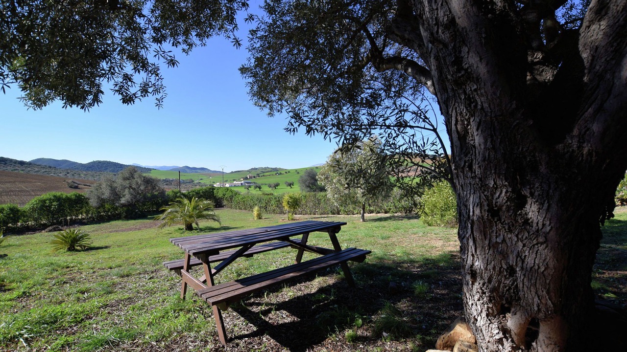 Photo of Outdoor in Almogia