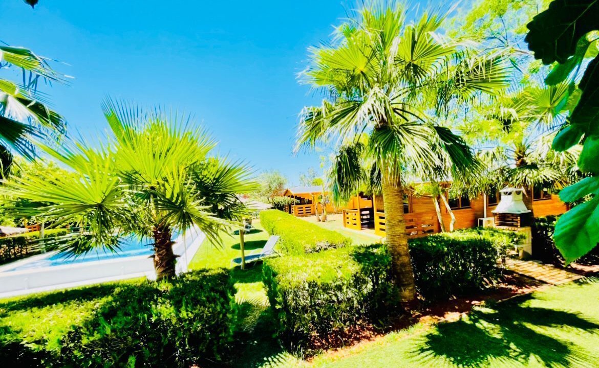 Photo of Outdoor in Dos Hermanas