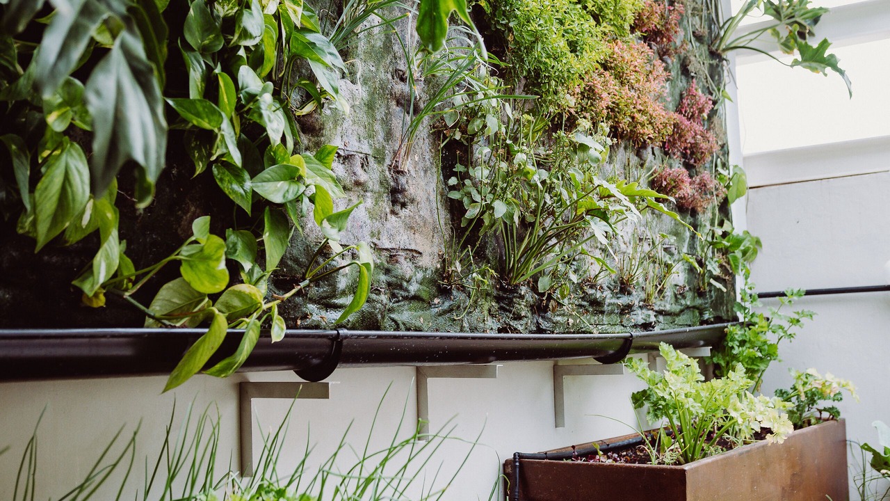 Photo of Patio Balcony in Las Palmas de Gran Canaria