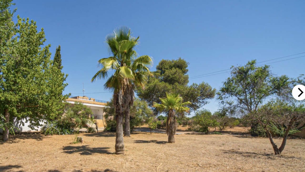 Photo of Outdoor in Alcala de Guadaira
