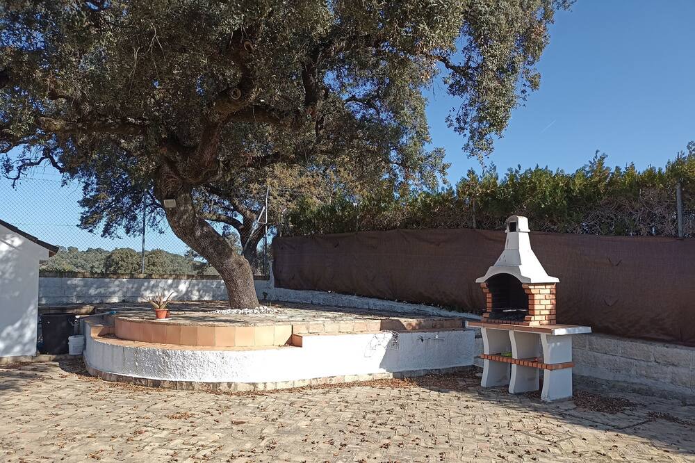 Photo of Outdoor in Guillena