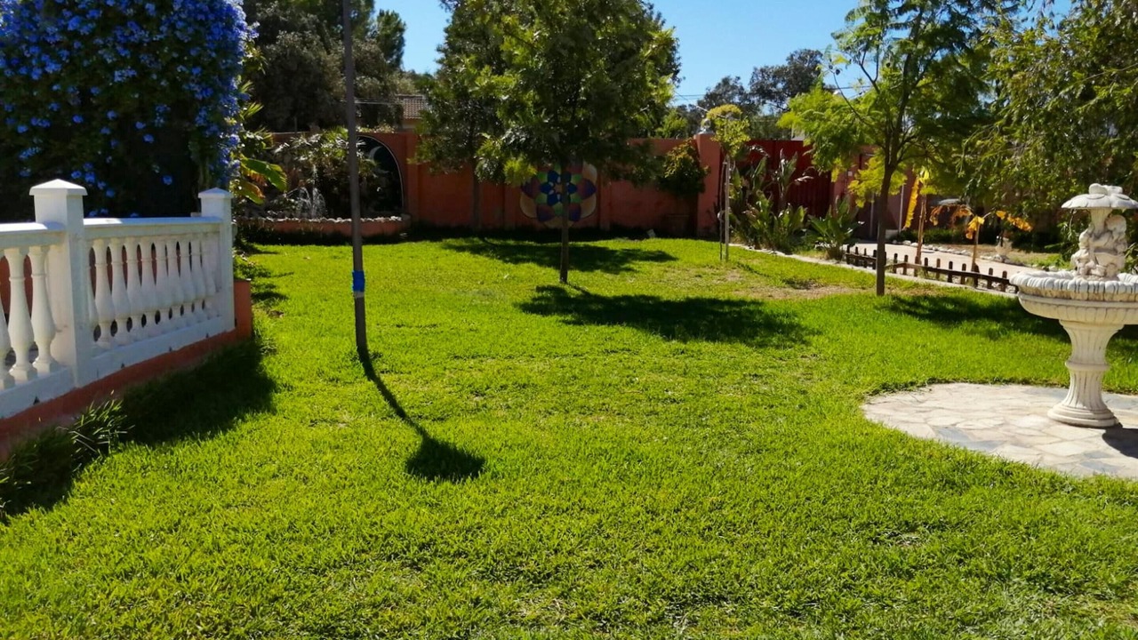 Photo of Outdoor in Guillena