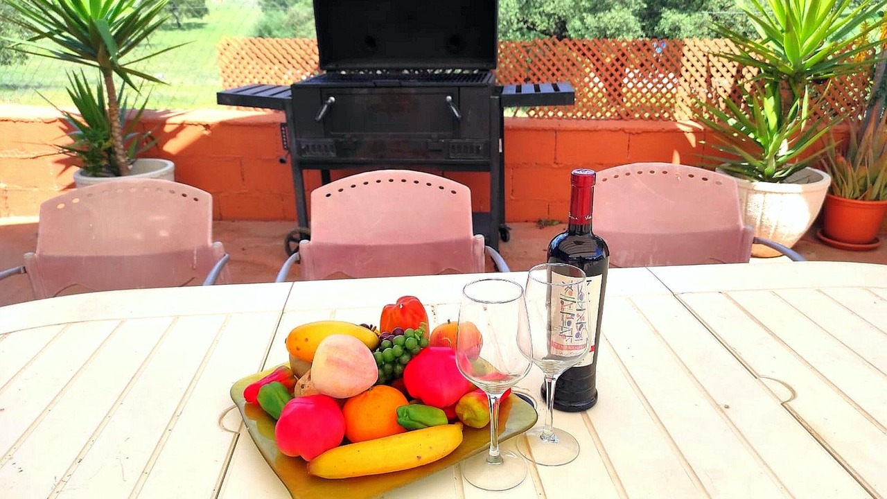 Photo of Outdoor in Guillena