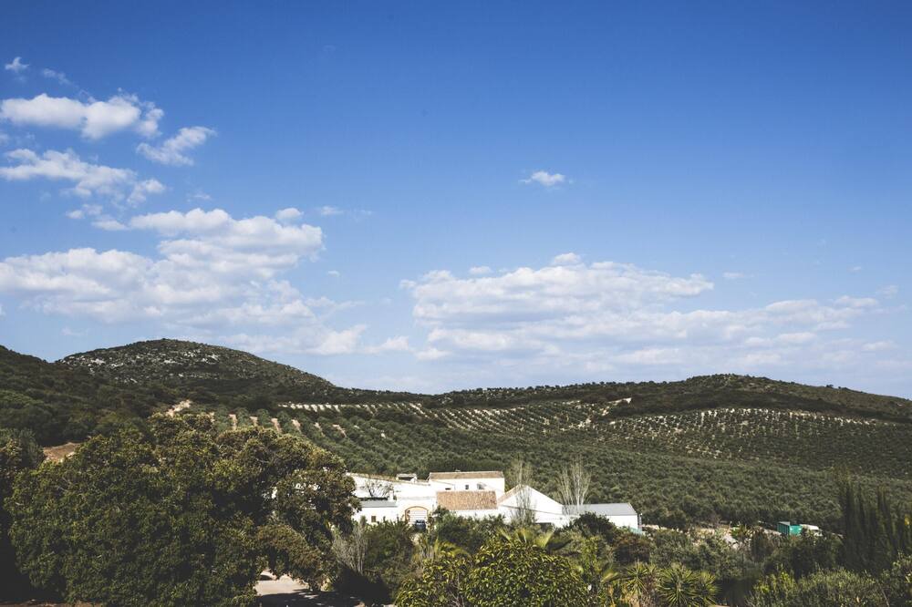 Photo of Outdoor in Estepa