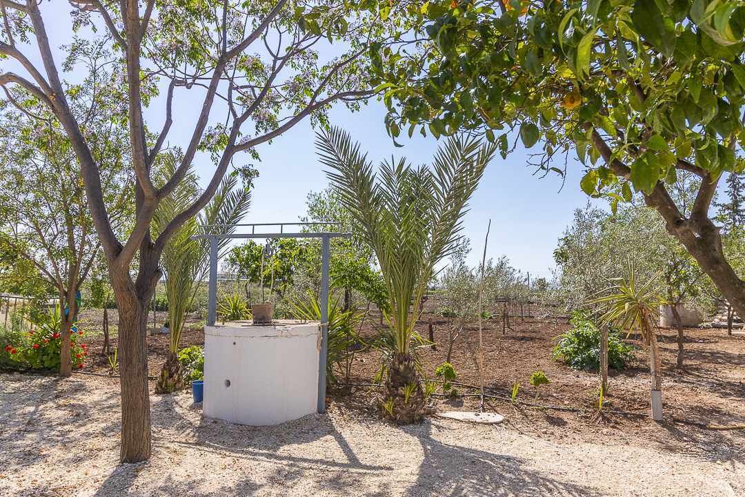 Photo of Outdoor in Osuna