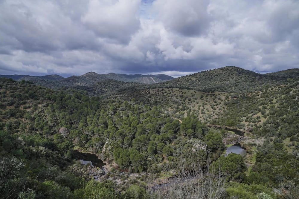 Photo of Others in Las Jaras